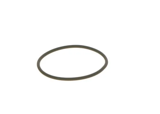 Seal Ring