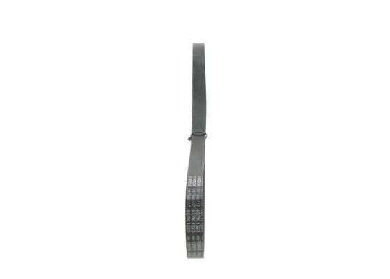 V-Ribbed Belt