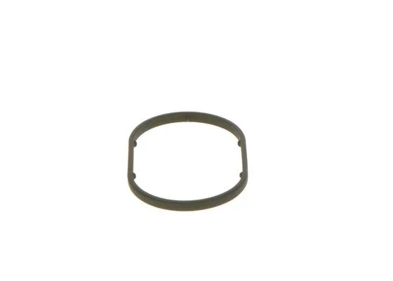 Seal Ring (2 440 210 049)