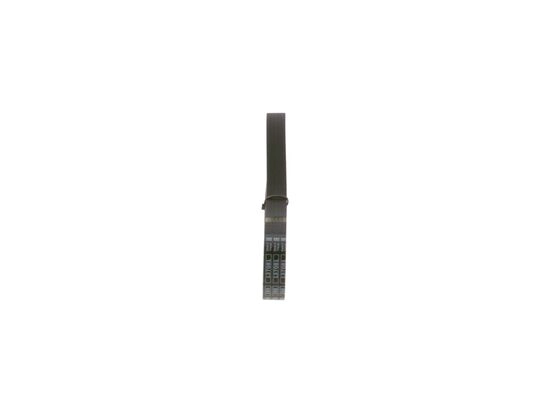 V-Ribbed Belt (1 987 948 354)