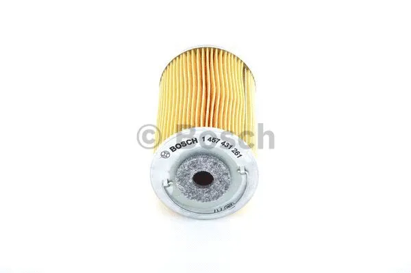 Fuel Filter (1 457 431 261)
