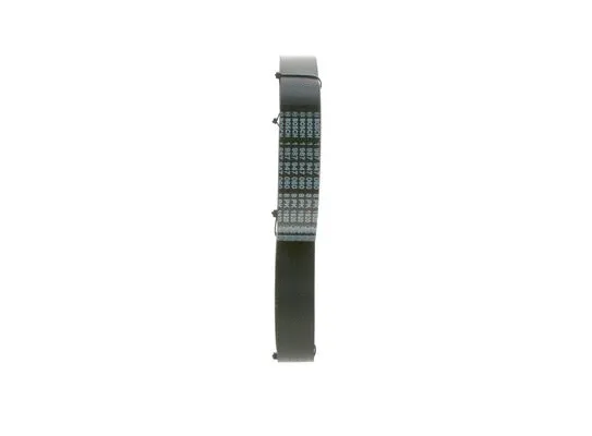 V-Ribbed Belt
