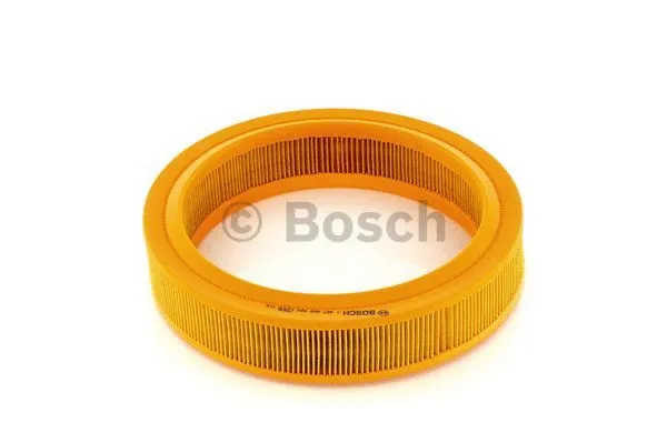 Air Filter (1 457 429 920)