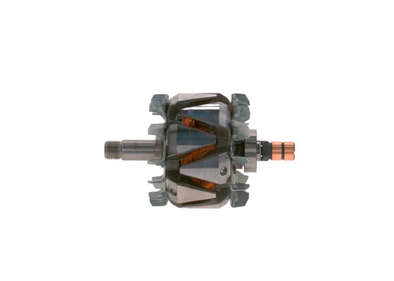Rotor, alternator