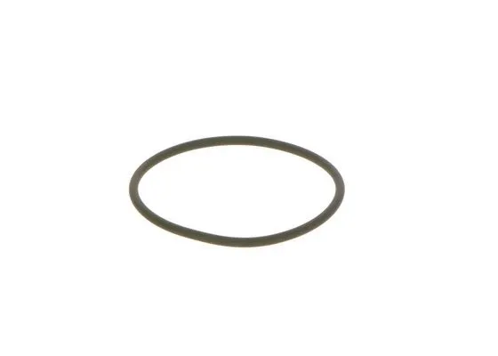 Seal Ring