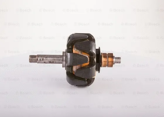 Rotor, alternator (1 124 035 258)