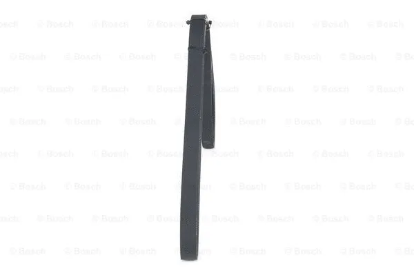 V-Ribbed Belt (1 987 946 023)