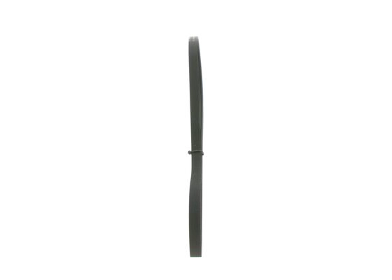V-Ribbed Belt