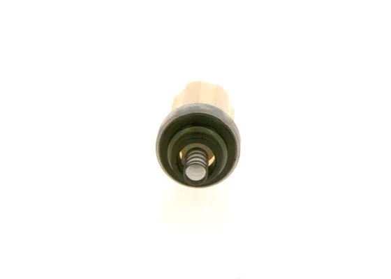 Fuel Filter (2 447 010 042)