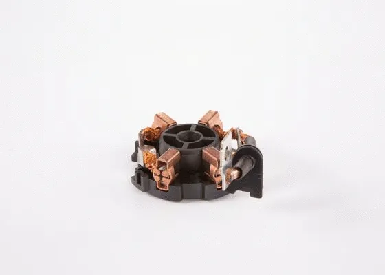 Holder, carbon brushes