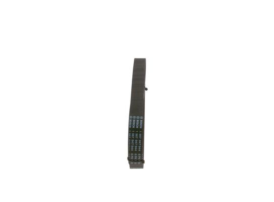 V-Ribbed Belt