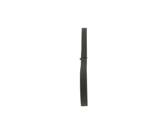 V-Ribbed Belt (1 987 948 434)