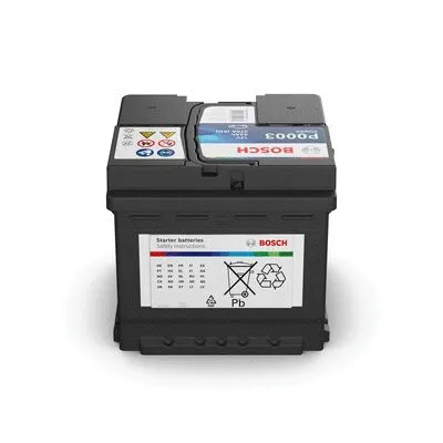 Starter Battery