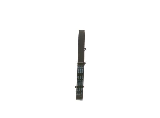 V-Ribbed Belt