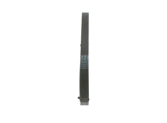V-Ribbed Belt (1 987 946 053)