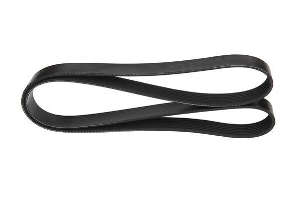 V-Ribbed Belt (F 000 KR9 205)