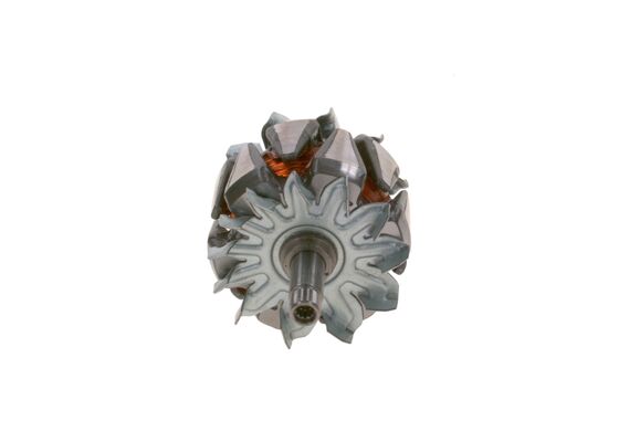 Rotor, alternator