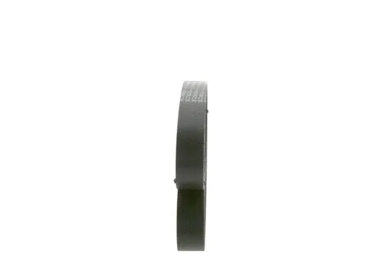 V-Ribbed Belt