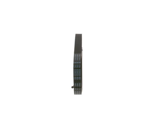 V-Ribbed Belt