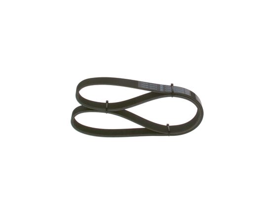 V-Ribbed Belt (1 987 948 452)