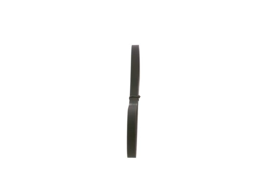 V-Ribbed Belt