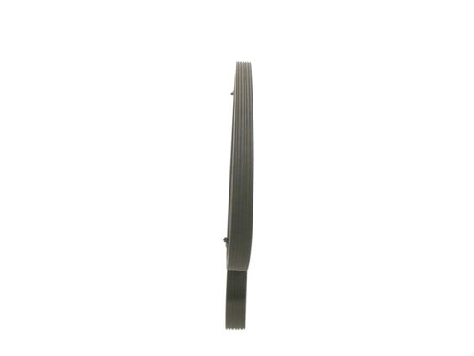 V-Ribbed Belt (1 987 946 271)