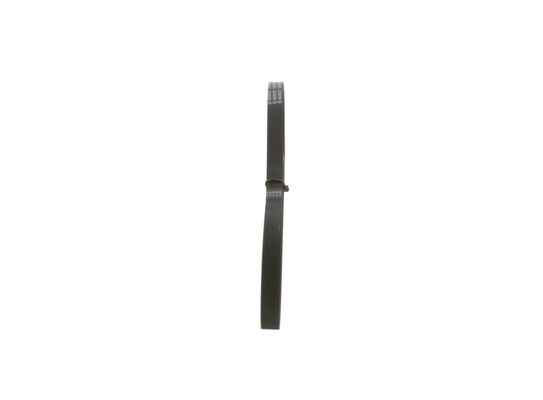 V-Ribbed Belt (1 987 947 891)