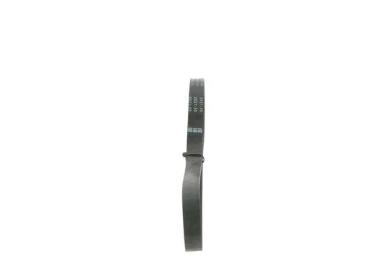 V-Ribbed Belt