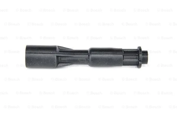Plug, spark plug