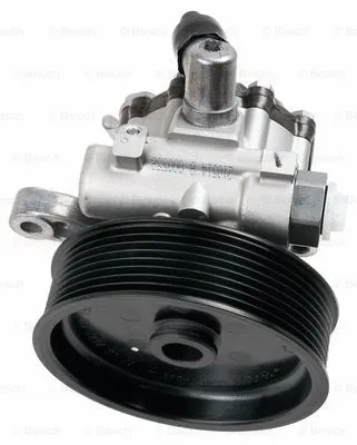 Hydraulic Pump, steering (K S00 000 689)