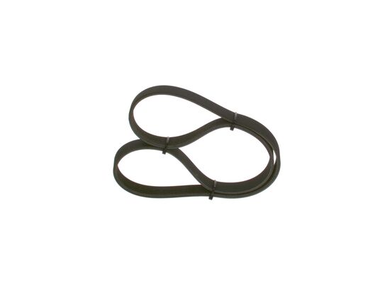 V-Ribbed Belt