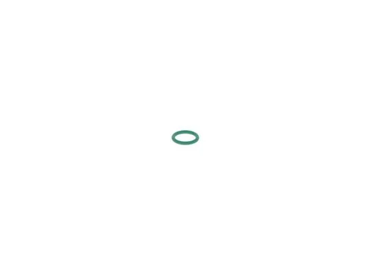 Rubber Ring (1 928 300 719)