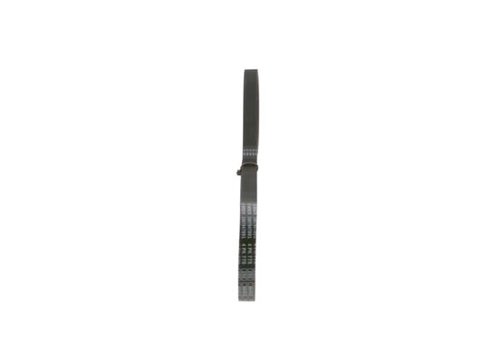V-Ribbed Belt
