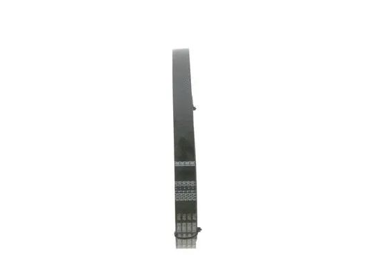 V-Ribbed Belt