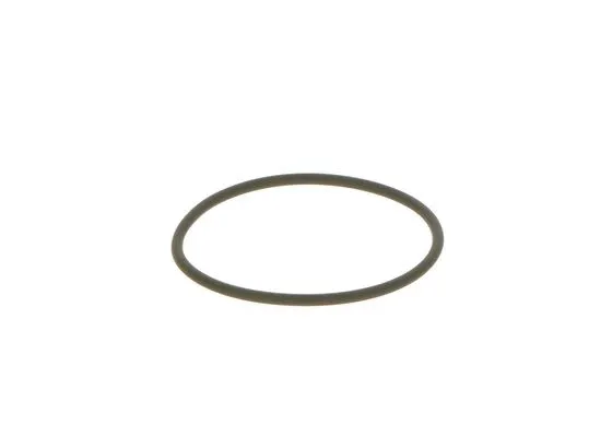 Seal Ring (F 00N 201 306)