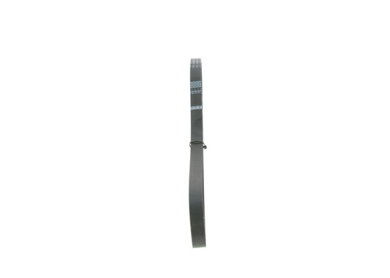 V-Ribbed Belt