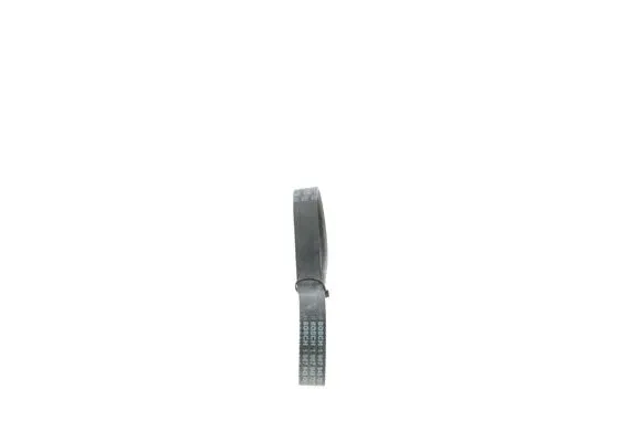 V-Ribbed Belt