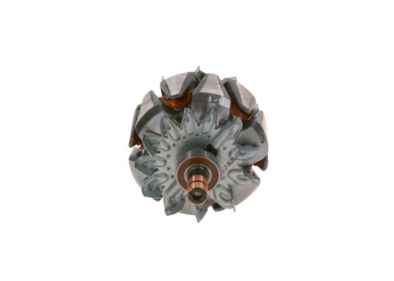 Rotor, alternator