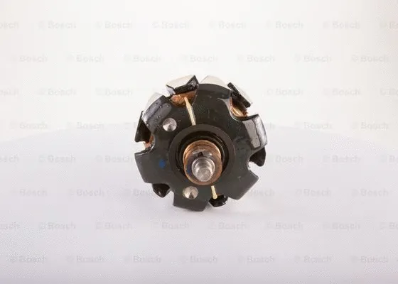 Rotor, alternator