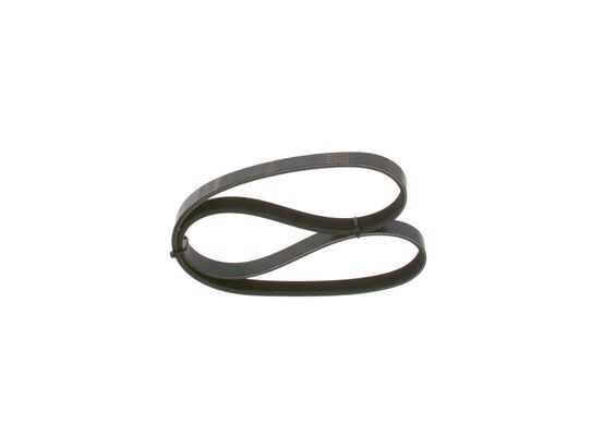 V-Ribbed Belt