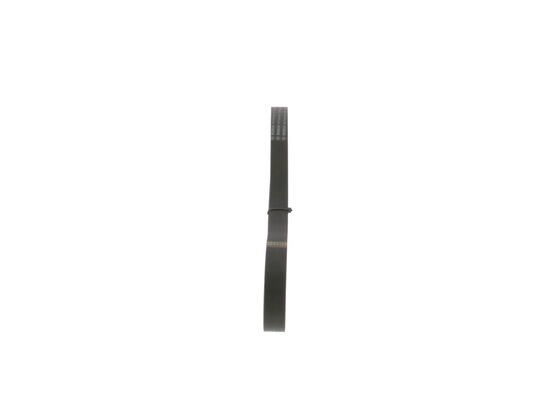 V-Ribbed Belt (1 987 948 483)