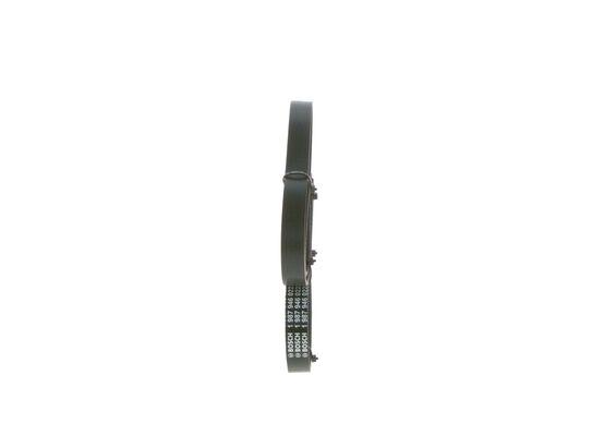 V-Ribbed Belt