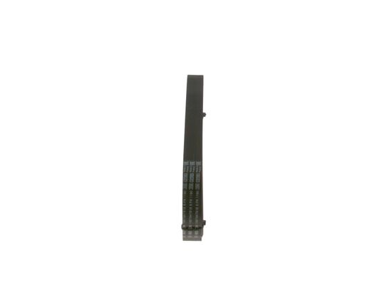 V-Ribbed Belt