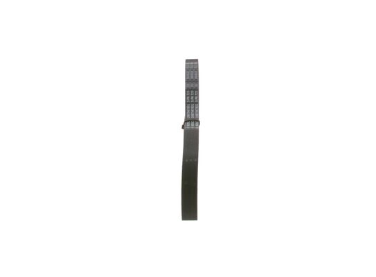 V-Ribbed Belt