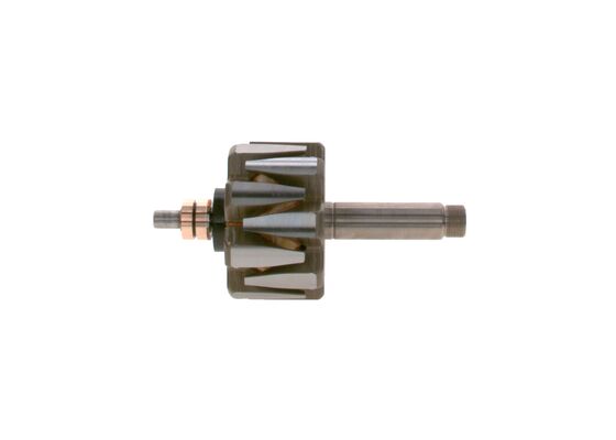 Rotor, alternator (1 124 037 004)