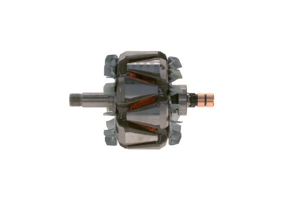 Rotor, alternator