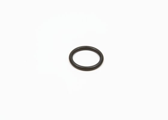Rubber Ring (F 00R J01 482)