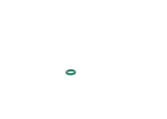 Rubber Ring (1 928 301 181)