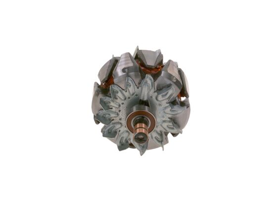 Rotor, alternator
