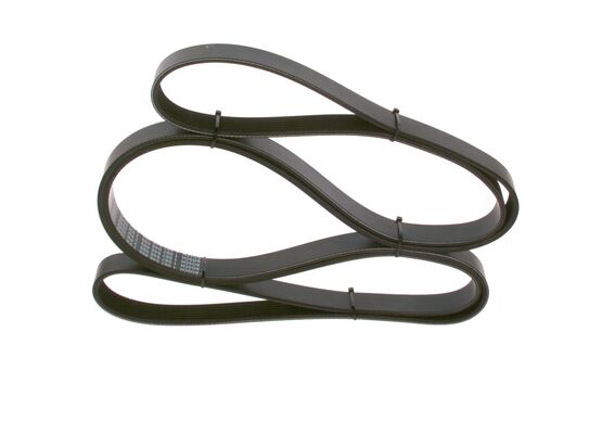 V-Ribbed Belt (1 987 948 499)